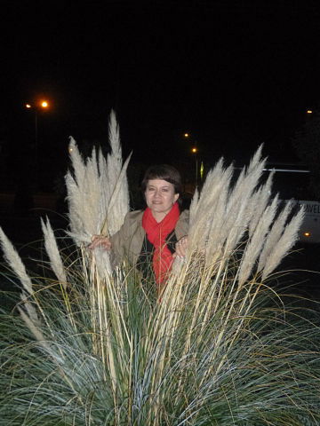 Венера Биктимирова