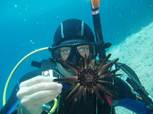 Анатолий Наталенко