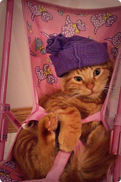 @линуся @линуся