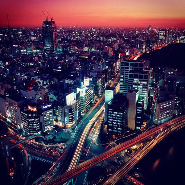 Шарапова Елена