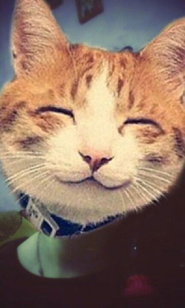 Маруся Ангел