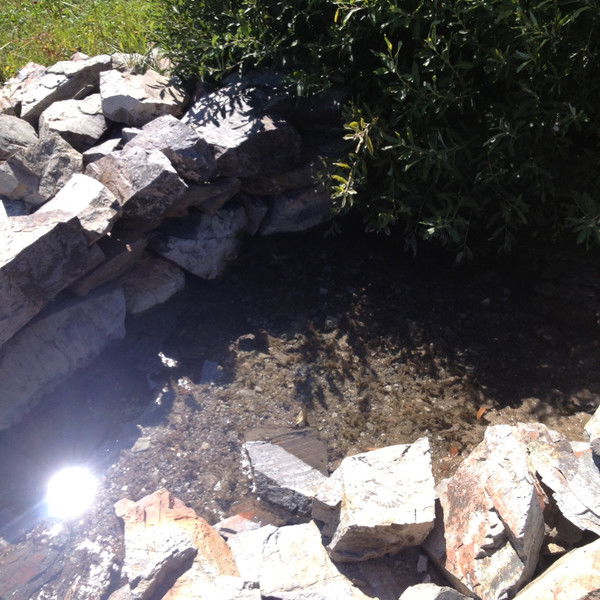 Эльмира Шахмерденова