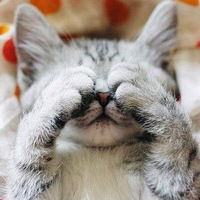 Алина Овчарова