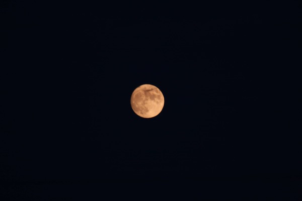 Константин Разгулин