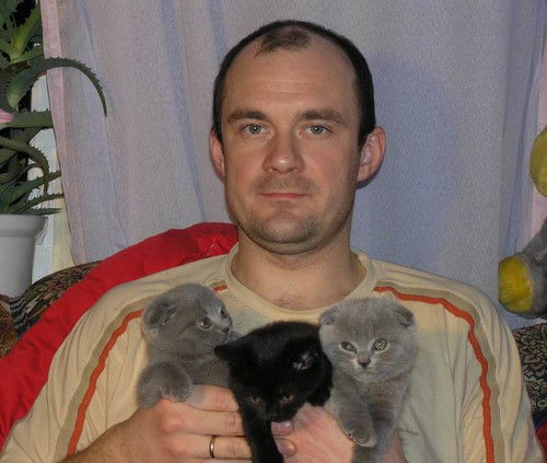 Алексей Красов