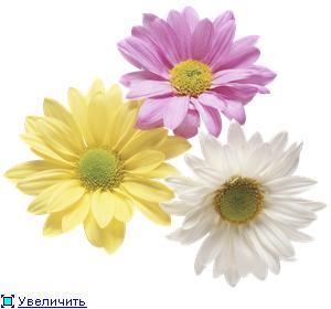 Светлана Сапронова