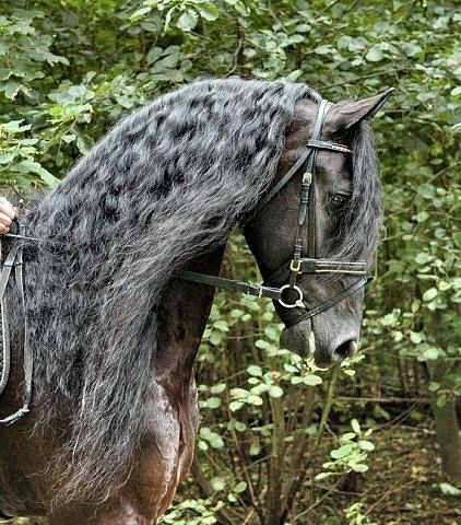 Олеся Медведева