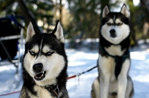 Сергей Баннов