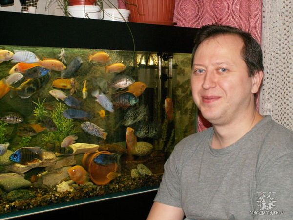 Андрей Кошелев