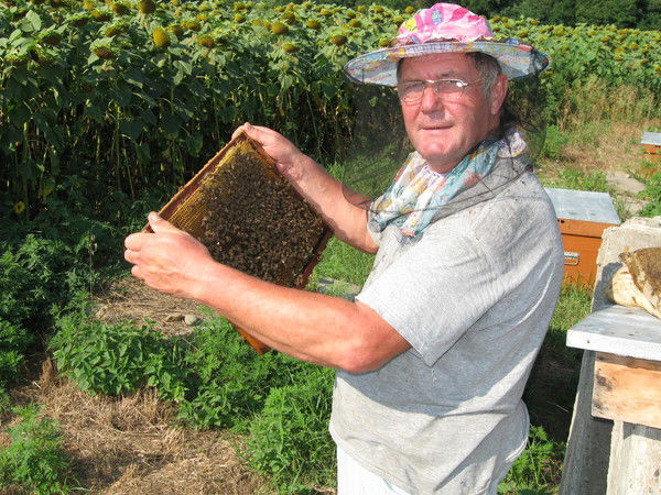 Александр Москов