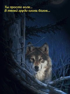 Валерий Волков