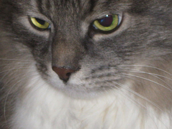 Ирина Ирина