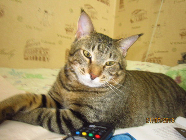 Алекс Охотник