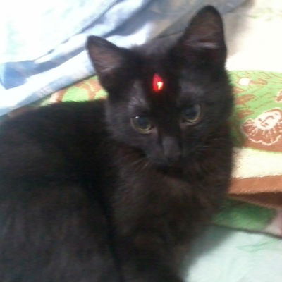 Катя Плескунова