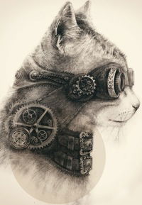 Владимир Канаев