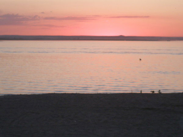 Людмила Борзова