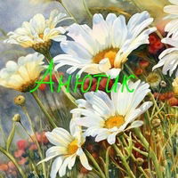 Анна Лазарева