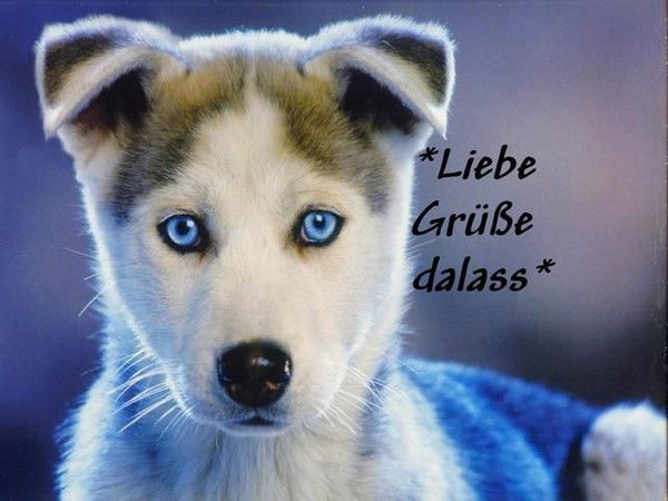 Катюшка Шестаковская