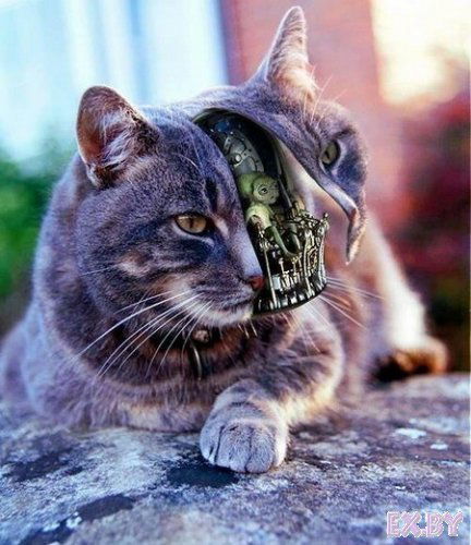 Александр Печерских