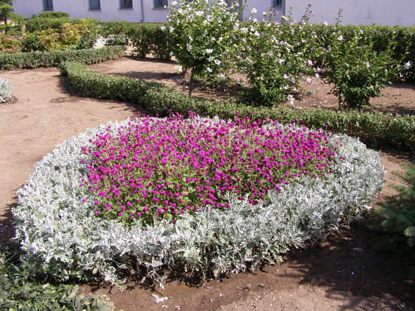 Татьяна Дышловенко