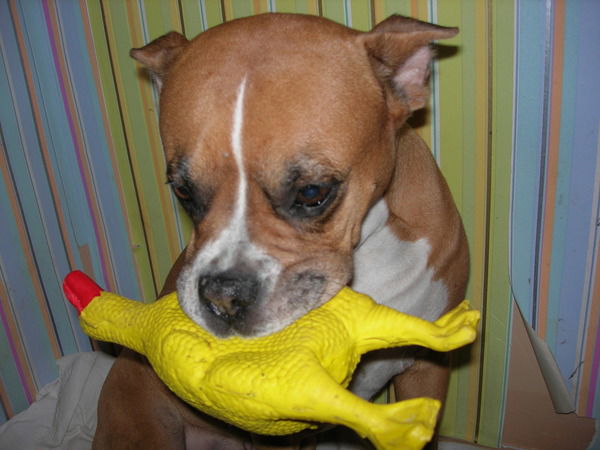 Николай Ходков