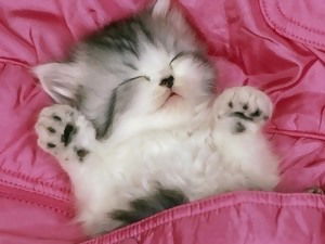 Полина Федюшина