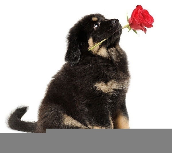 Лариса Рубцова