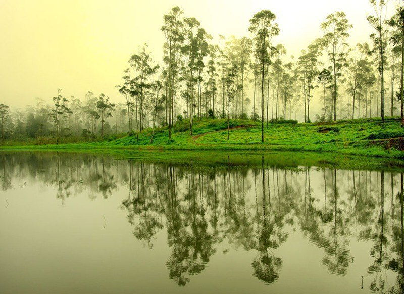 Дмитрий Невежин