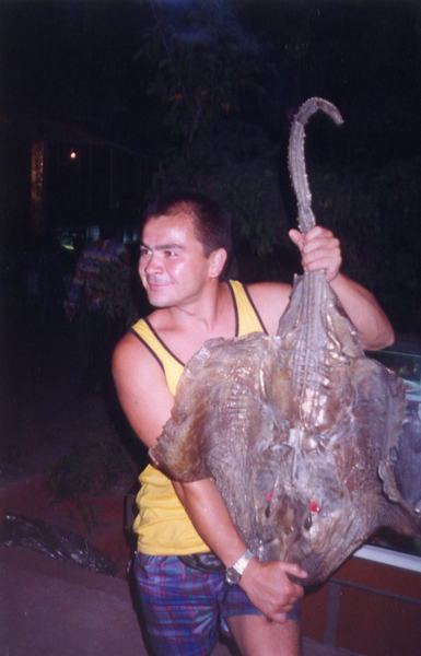 Андрей Мамедов