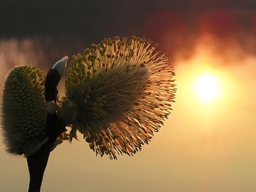 Наталья Опарина