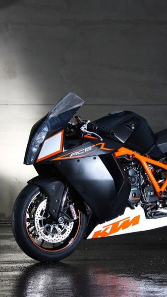 Владислав Кобзарев