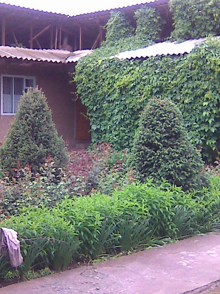 Рамазан Хива