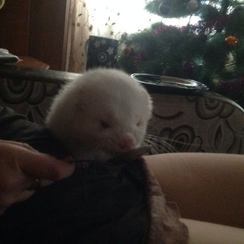 Неизвестно Неизвестно