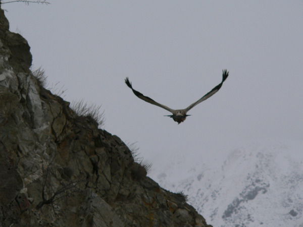 Адильбек Жунусов