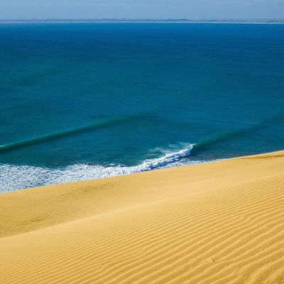 Максим Антоненко