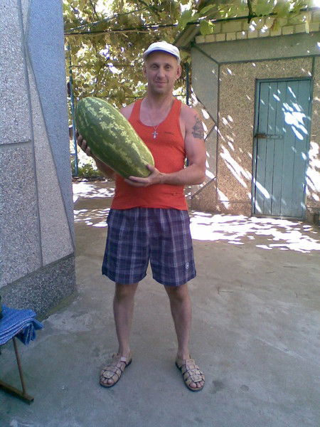 Сергей Желенговский