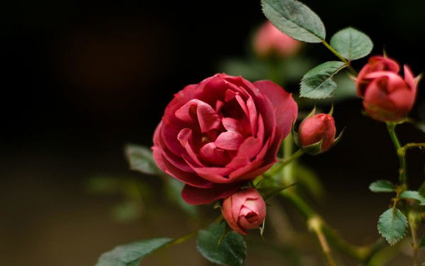 Анара Мухамеджанова (Кыйынбаева)