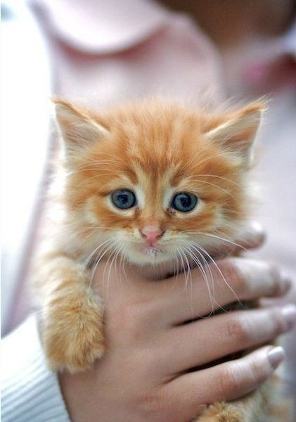 Кристина Федотова