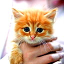 Кристина Федотова