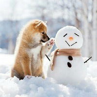 Анжелика Грачева