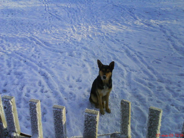 Аскар Джуланов