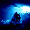 Nightcore Nightcore