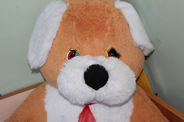 Евгений Родионов