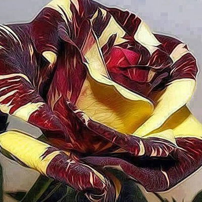 Людмила Феденёва