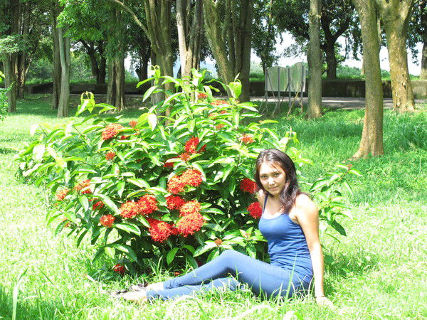 Не Люби Будь Любимой