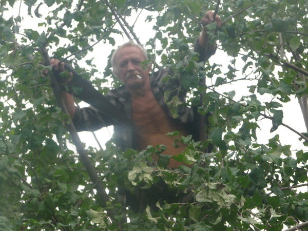 Владимир Горбань