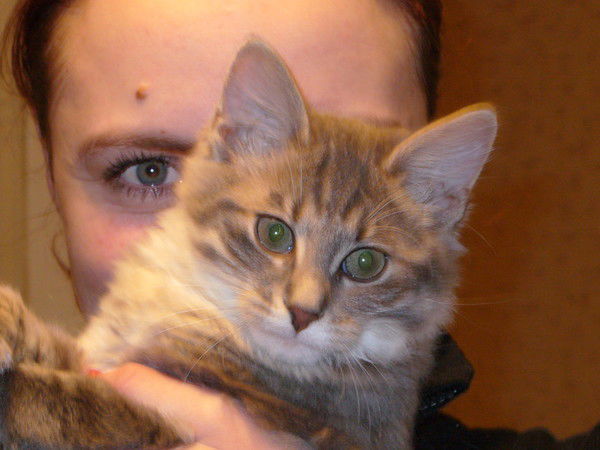 Екатерина Малиновская