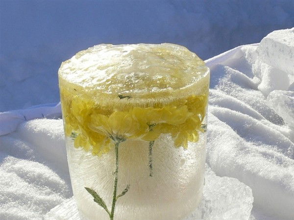 Светлана Шульц