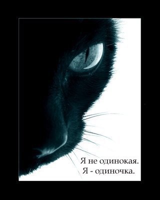 Наталья Резниченко