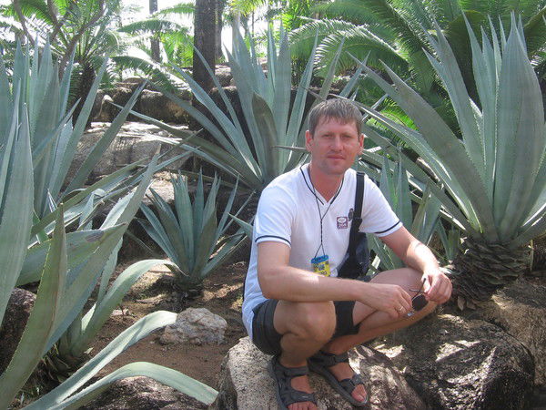 Роман Стариков